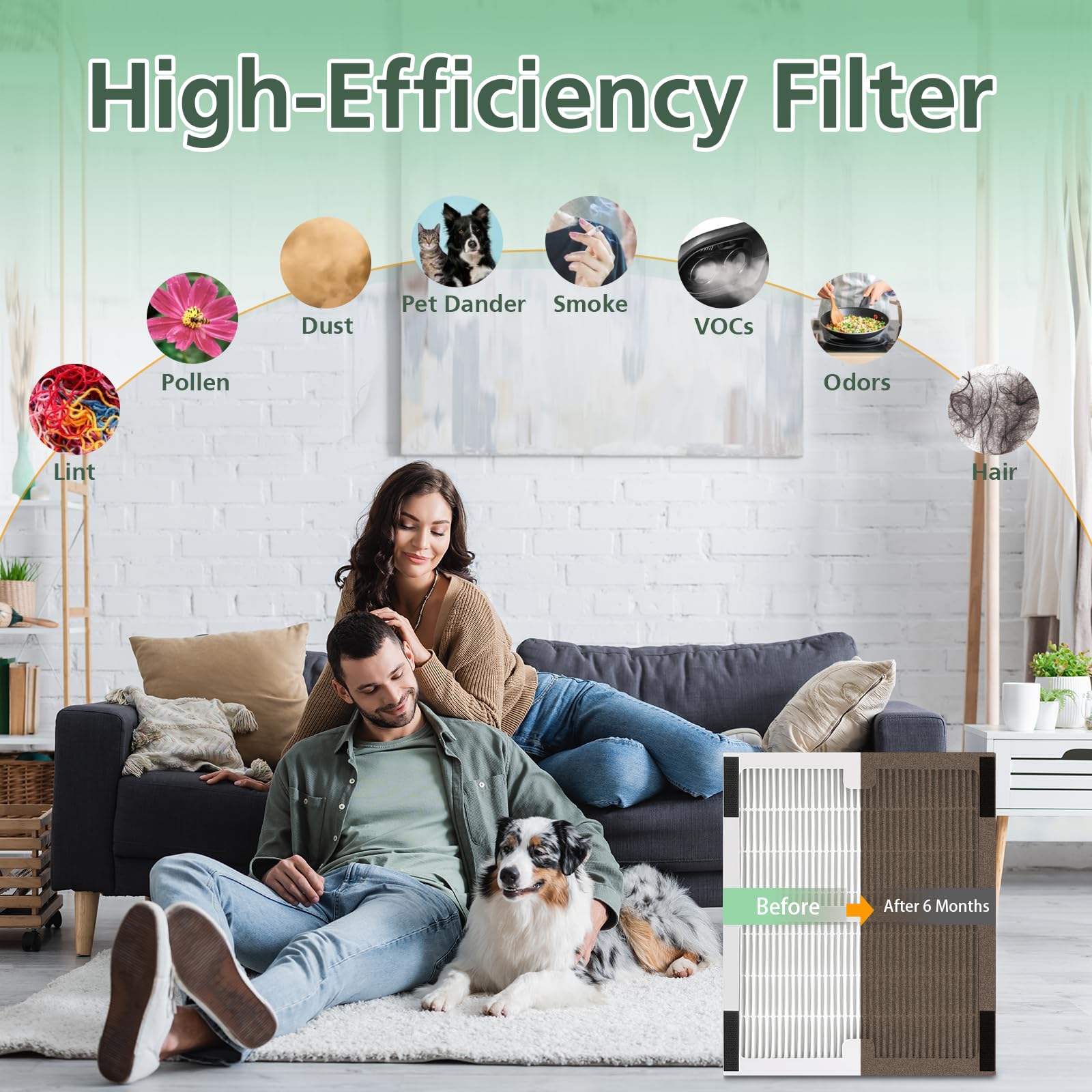 Isinlive carbon filter two-pack for odor control