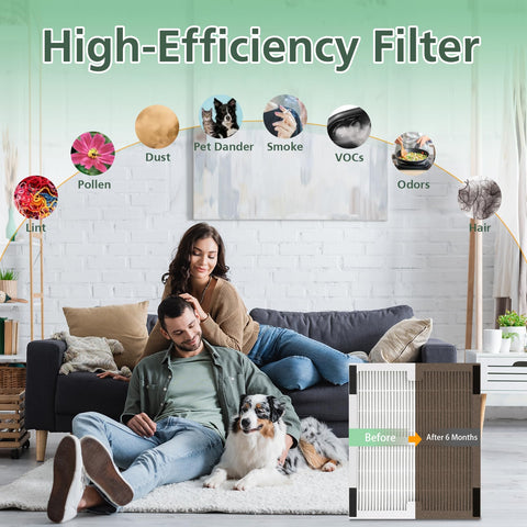 Isinlive carbon filter two-pack for odor control