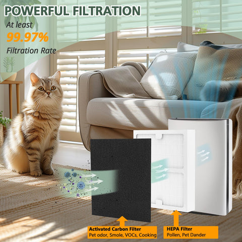 Isinlive Idylis IAP-10-125 HEPA B filter compatible and reliable