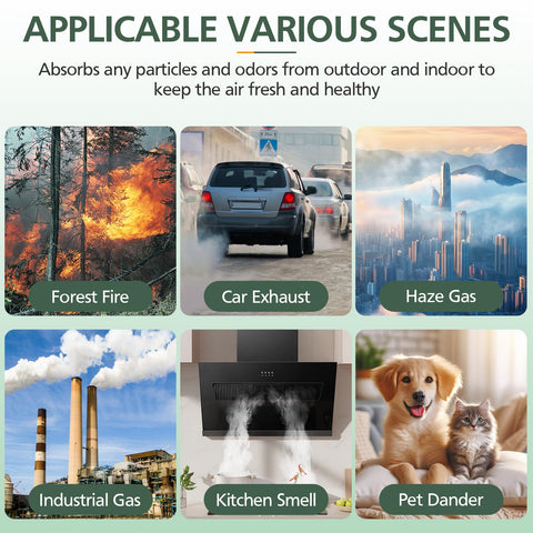 Isinlive indoor air quality visualization with purified air glow