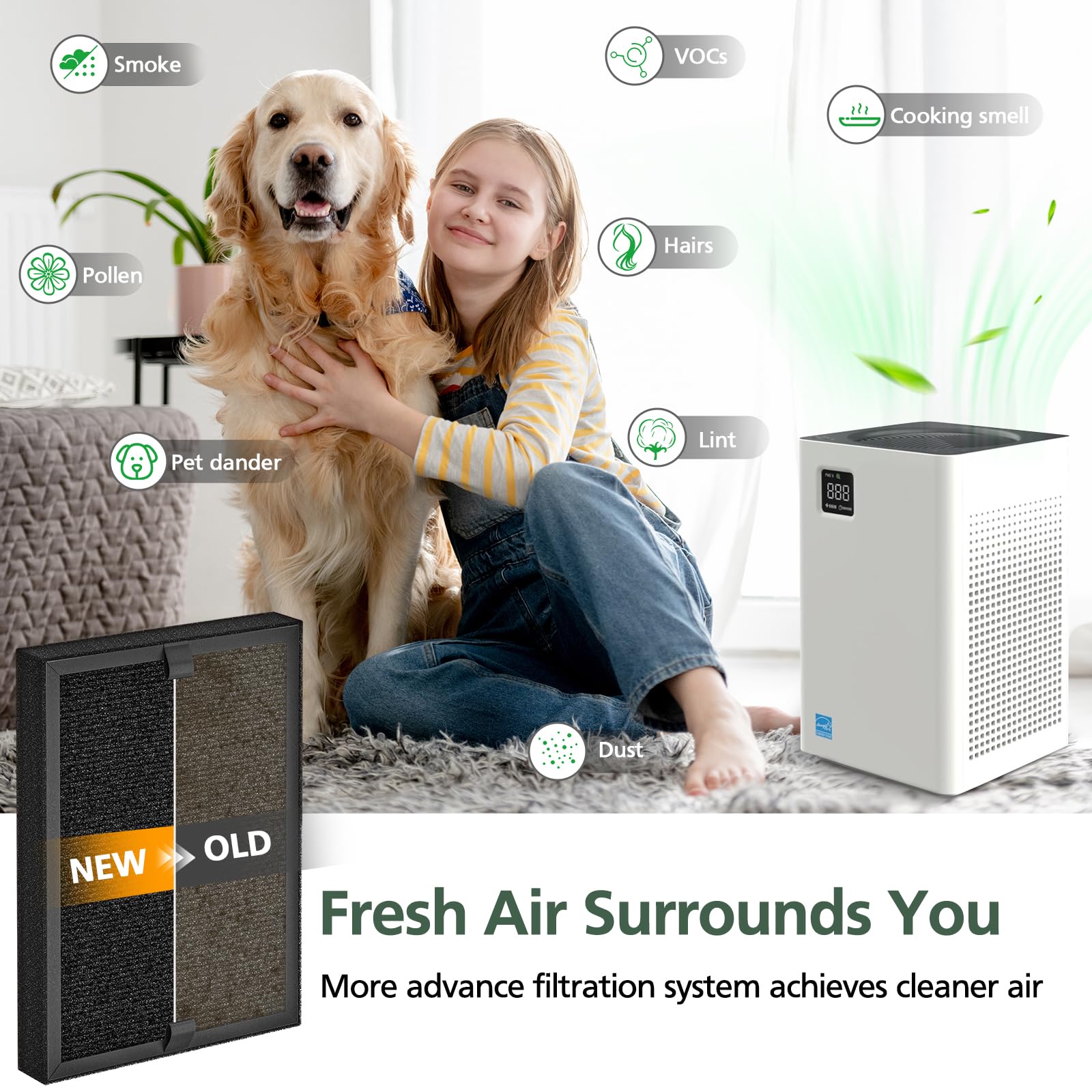 KF250 filter enhances odor control in home environments.