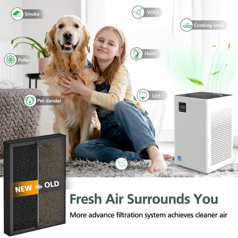 KF250 filter enhances odor control in home environments.
