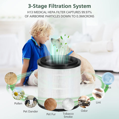 isinlive KJ150F-C02 True HEPA filter ready to capture dust and pet dander.
