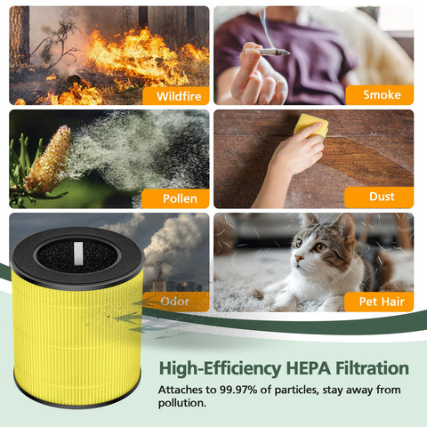 isinlive energy-efficient design supports smooth airflow and lower energy use.