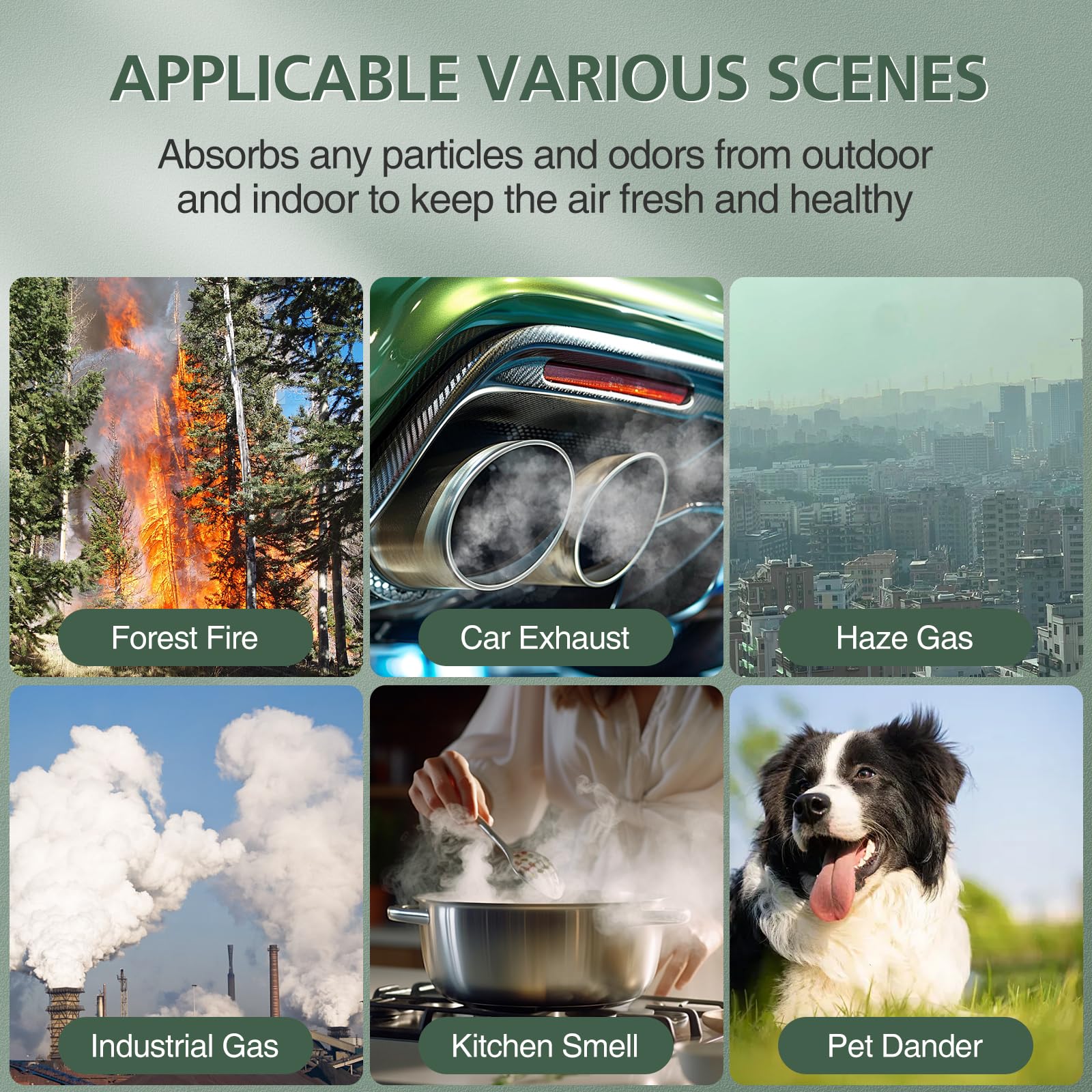 isinlive LV-PUR131 odor adsorption filter for kitchen and pet smells