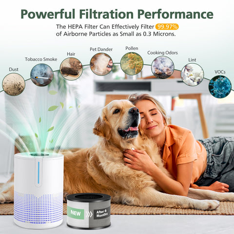 isinlive M01 compatibility with MOOKA M01 purifier confirms proper fit.