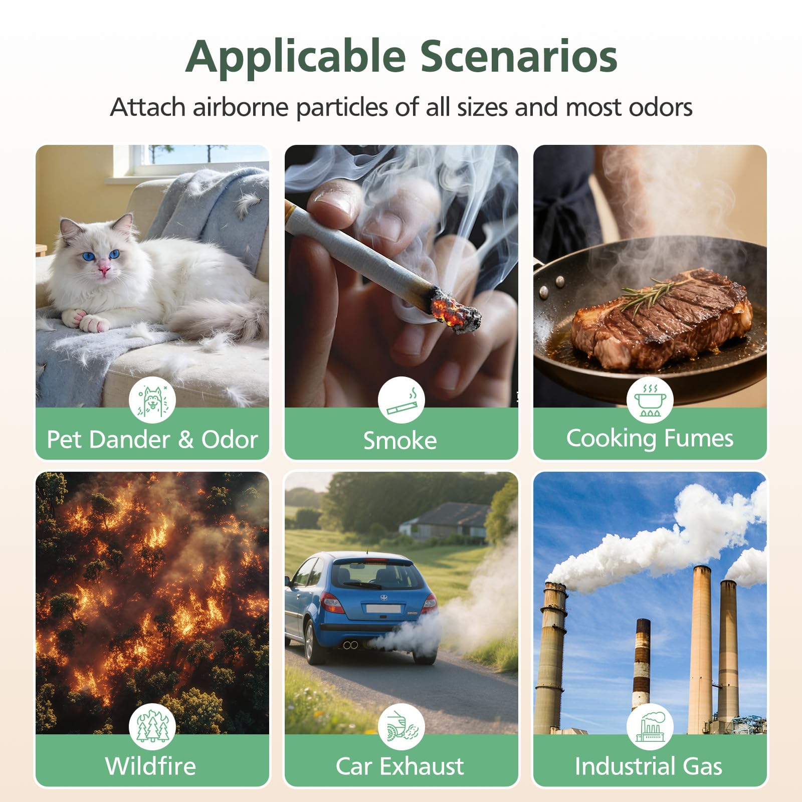 isinlive Mini Max filter in purifier demonstrates improved air use in daily routines.
