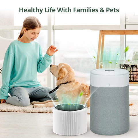 isinlive pet dander and smoke odors reduction for fresher indoor air