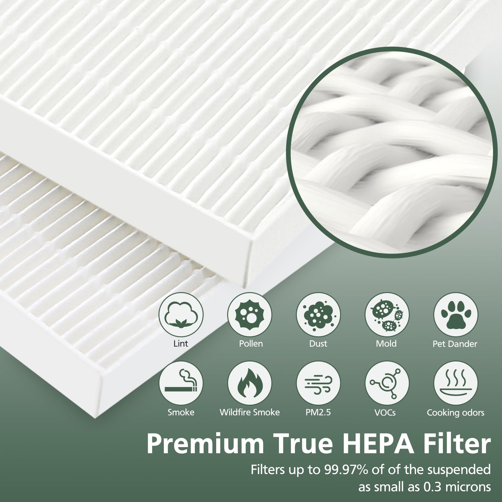 Isinlive pollen and pet dander filter reduces common indoor odors.