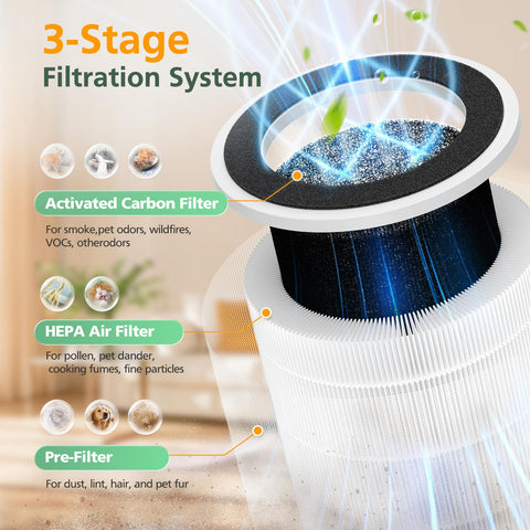 isinlive PX500 activated carbon layer highlights odor and VOC absorption.