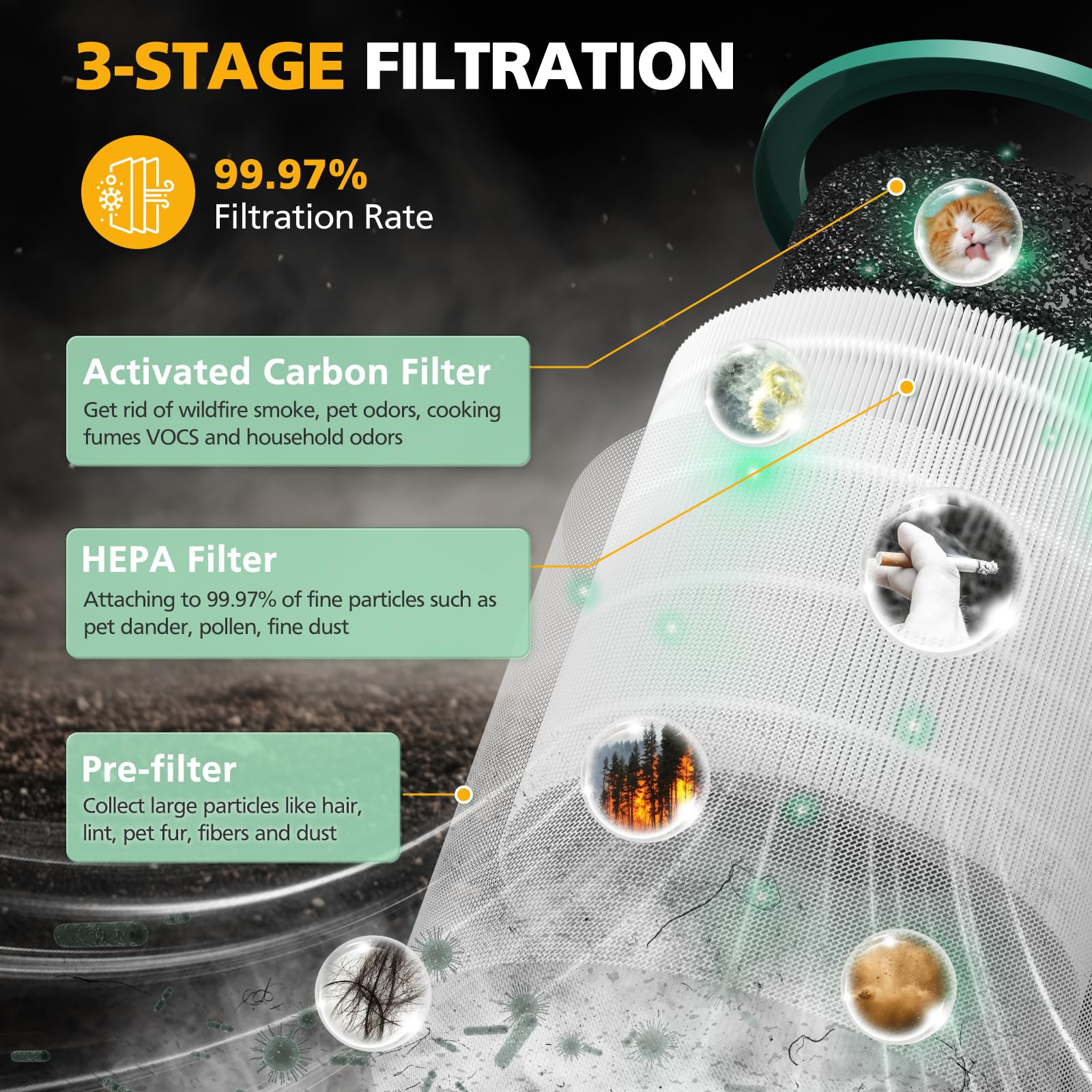 isinlive tp01 replacement filter easy-install design speeds setup and maintenance
