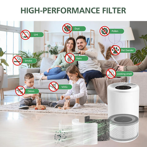 isinlive Vista 200 activated carbon filter neutralizes odors and cooking smells.