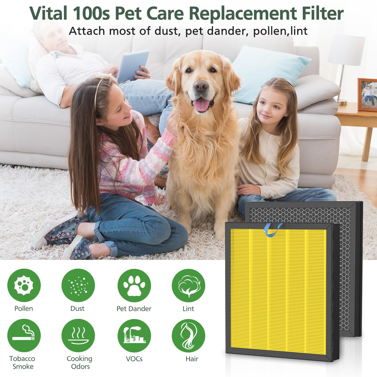 isinlive Vital 100S-P filter sealed packaging ensuring freshness for replacement