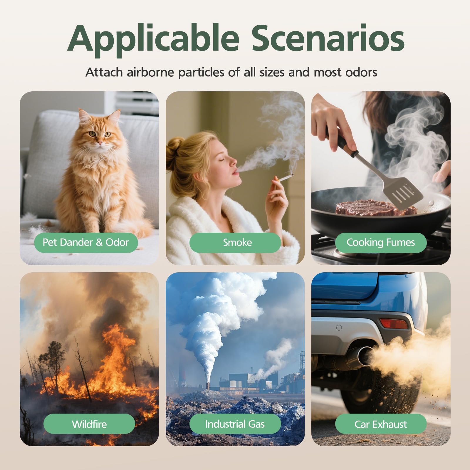 isinlive packaging shows eco-friendly FSC-certified paper