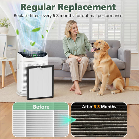 isinlive ZX001 odor-removal focus shows trapped odors diminishing