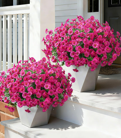 Ivydale morning glory with eucalyptus for outdoor planters boosts curb appeal year-round.