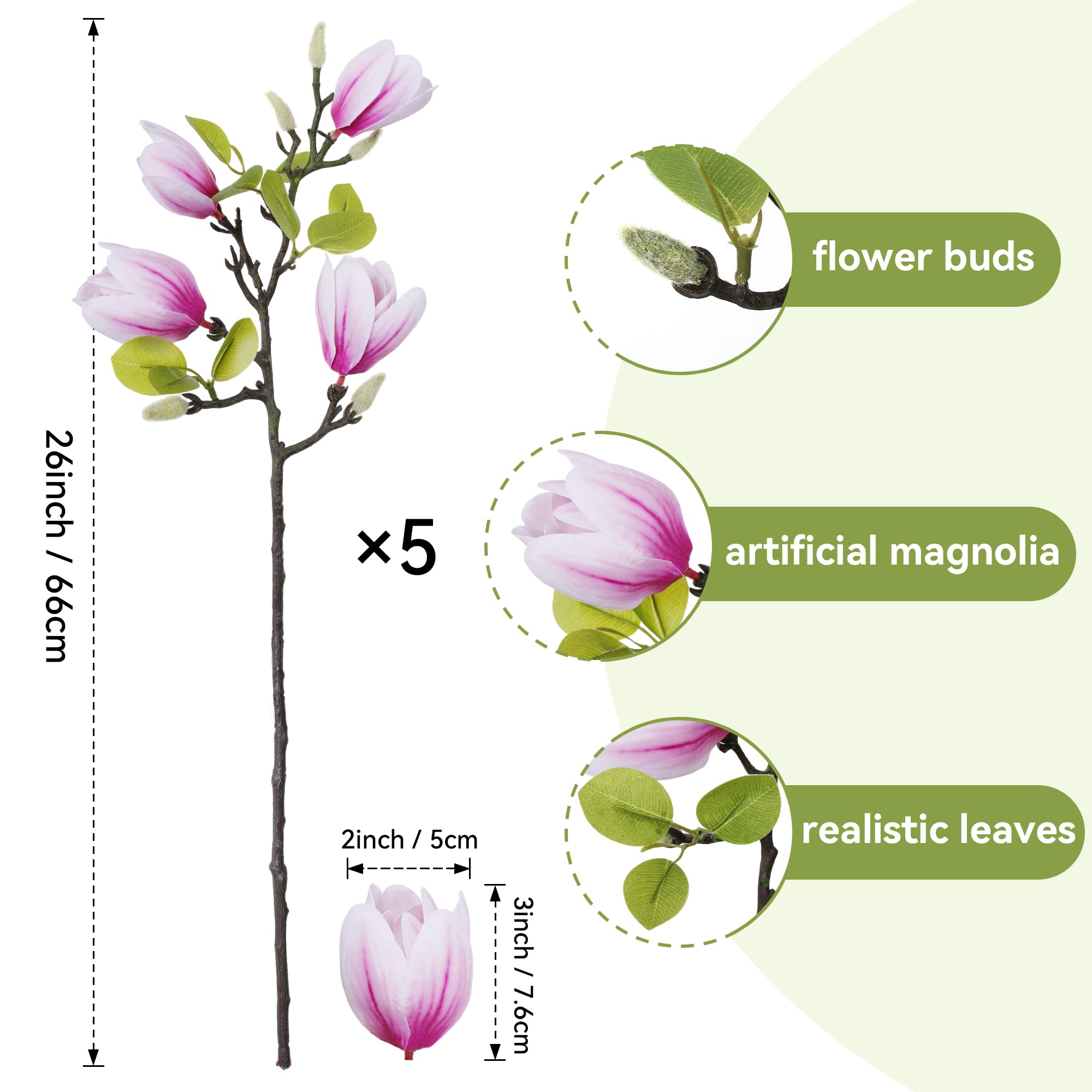 Ivydale magnolia stems on 26-inch hotpink branches for elegant blooms.