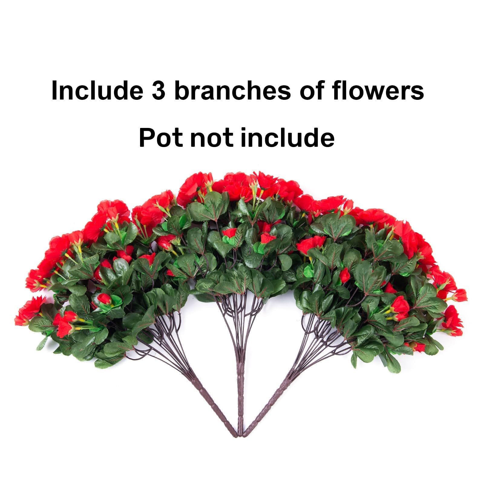Ivydale outdoor camellia bundles suited for balcony display and low maintenance.