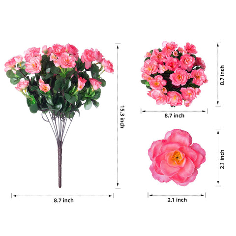 Ivydale camellia outdoor plants bring instant elegance to garden beds and window boxes.