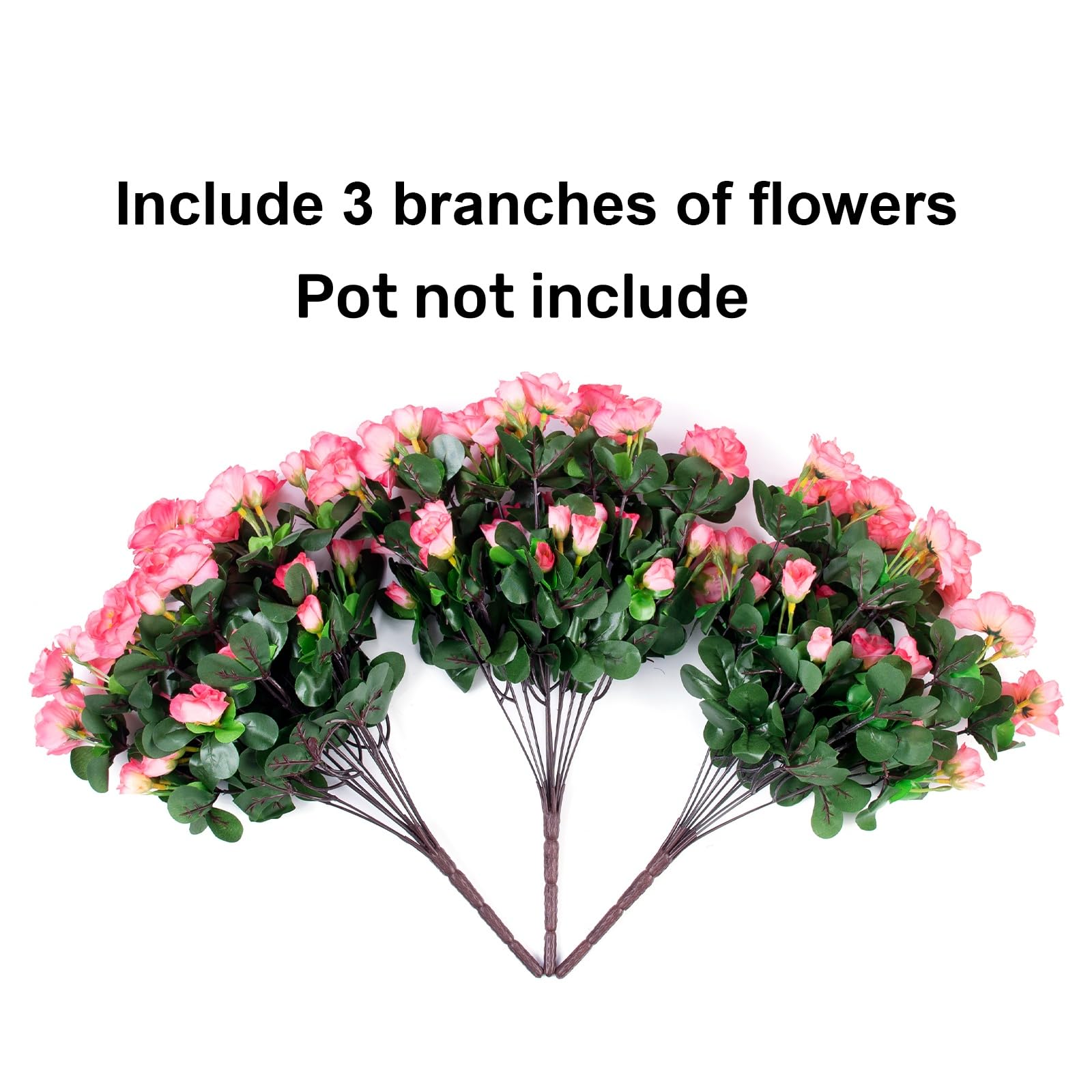 Ivydale camellia outdoor plants require no watering or pruning, saving time.