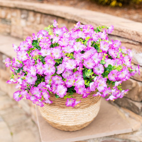 Ivydale backyard decor accents deliver effortless greenery without the mess.