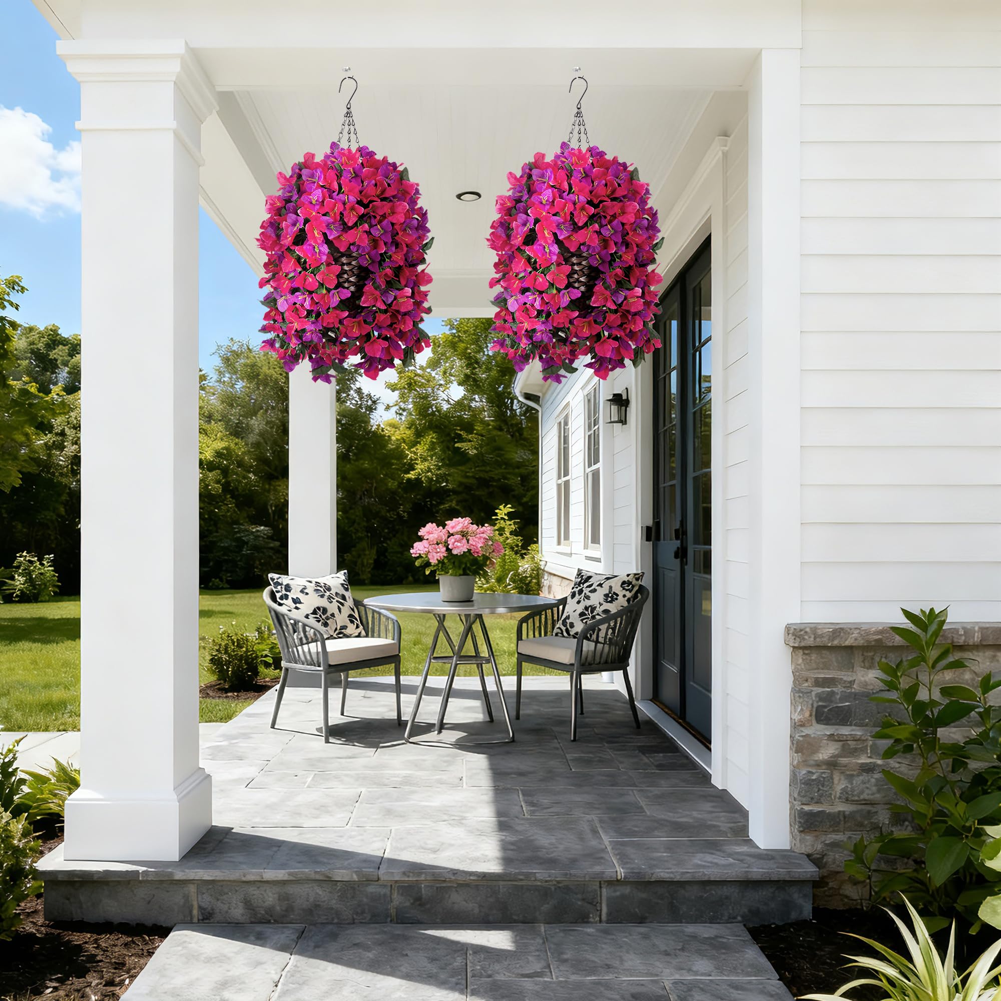Ivydale Bougainvillea in vibrant fuchsia color enhances outdoor spaces.
