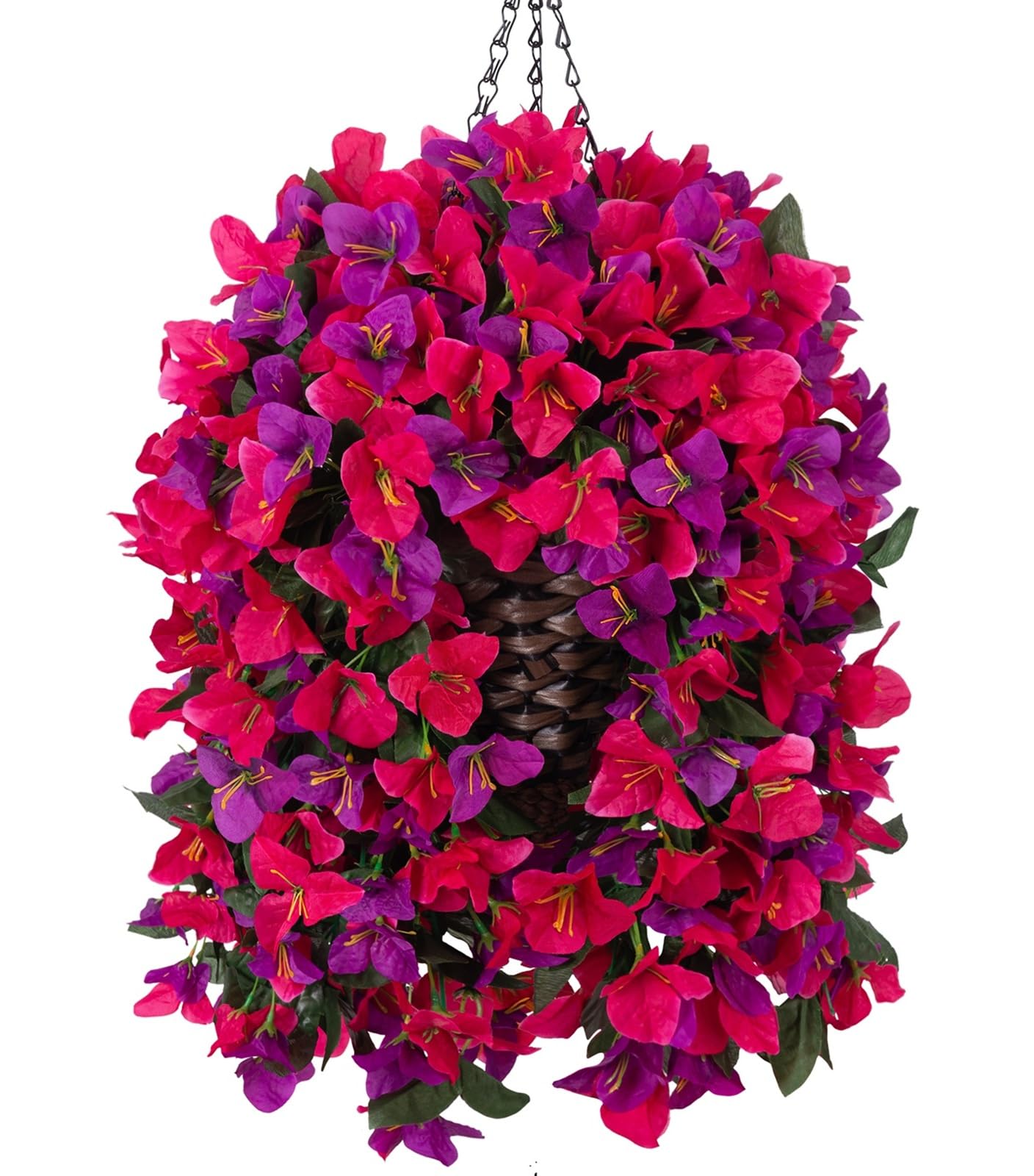 Ivydale Bougainvillea hanging flowers at the front door, vibrant year-round color.