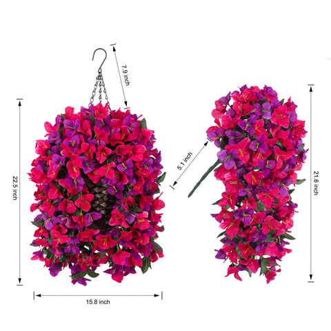 Ivydale Bougainvillea hanging flowers for patio decor with maintenance-free charm.