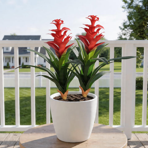 Ivydale red bromeliads for porch spaces, durable outdoor display