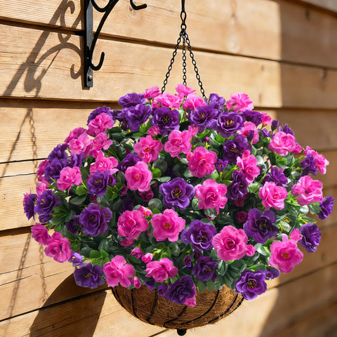 Ivydale 3-pack bundles brighten gardens, porches, and window boxes.