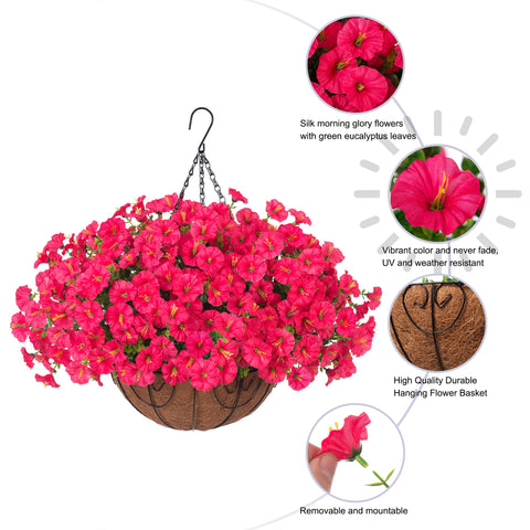 Ivydale hot-pink morning glory for bright accent without maintenance.