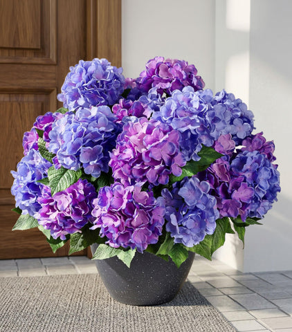 Ivydale outdoor hydrangea blooms in purple-blue offer durable, maintenance-free decor.