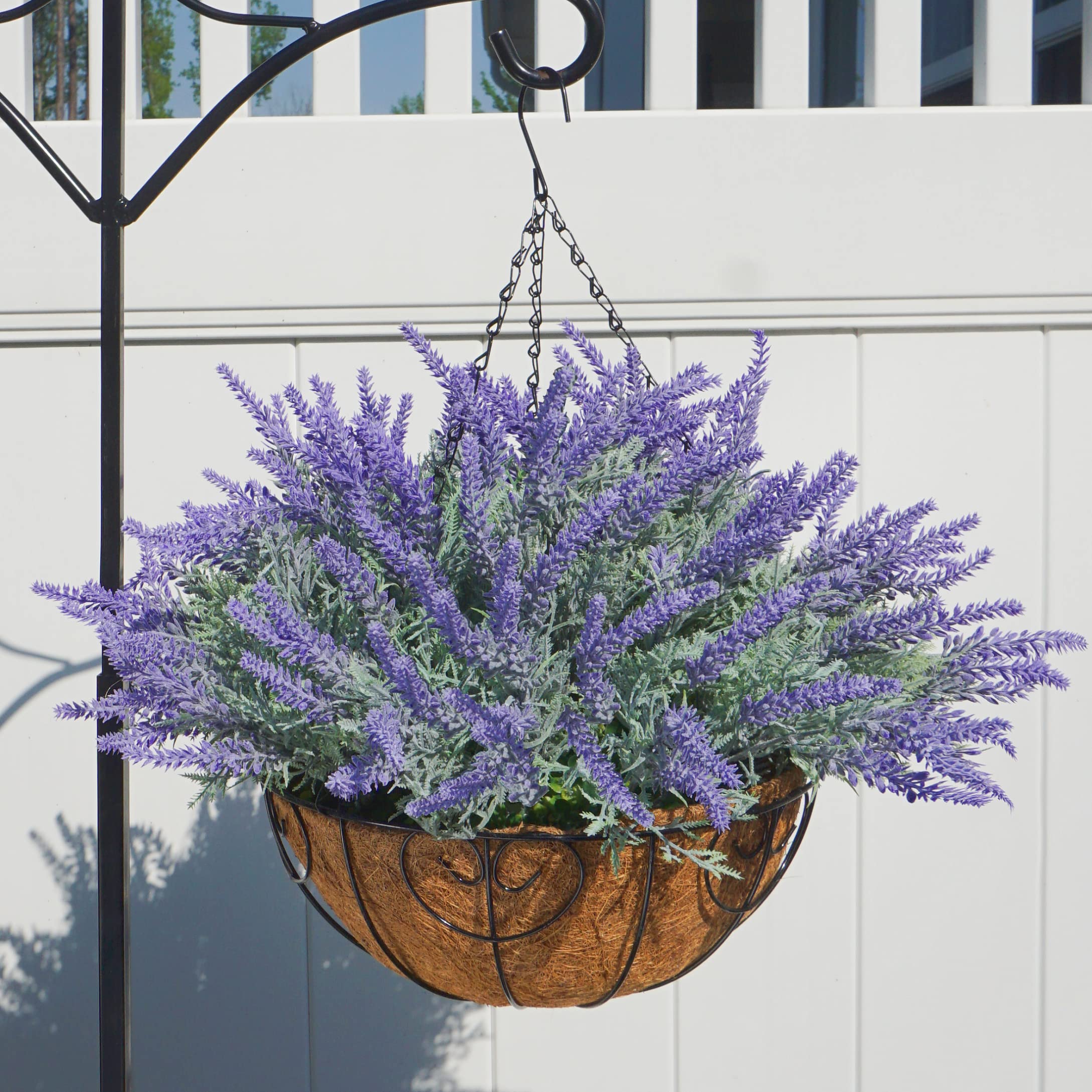 Ivydale lavender hanging basket on porch adds year-round color.