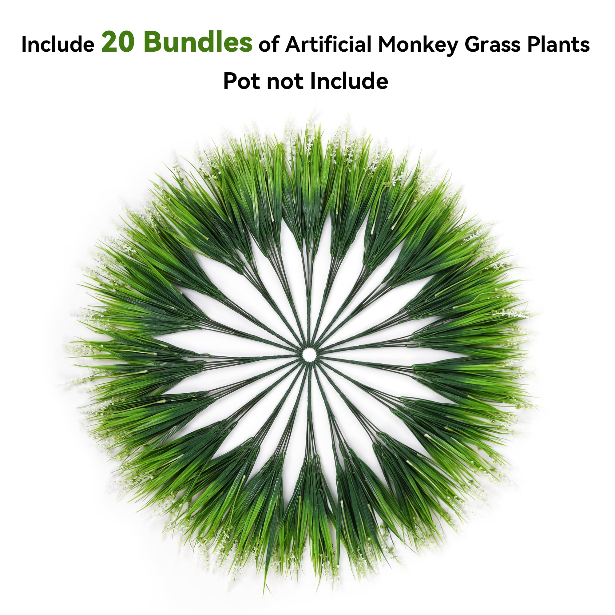 Ivydale Monkey Grass leaves resist UV fading for lasting outdoor appeal.