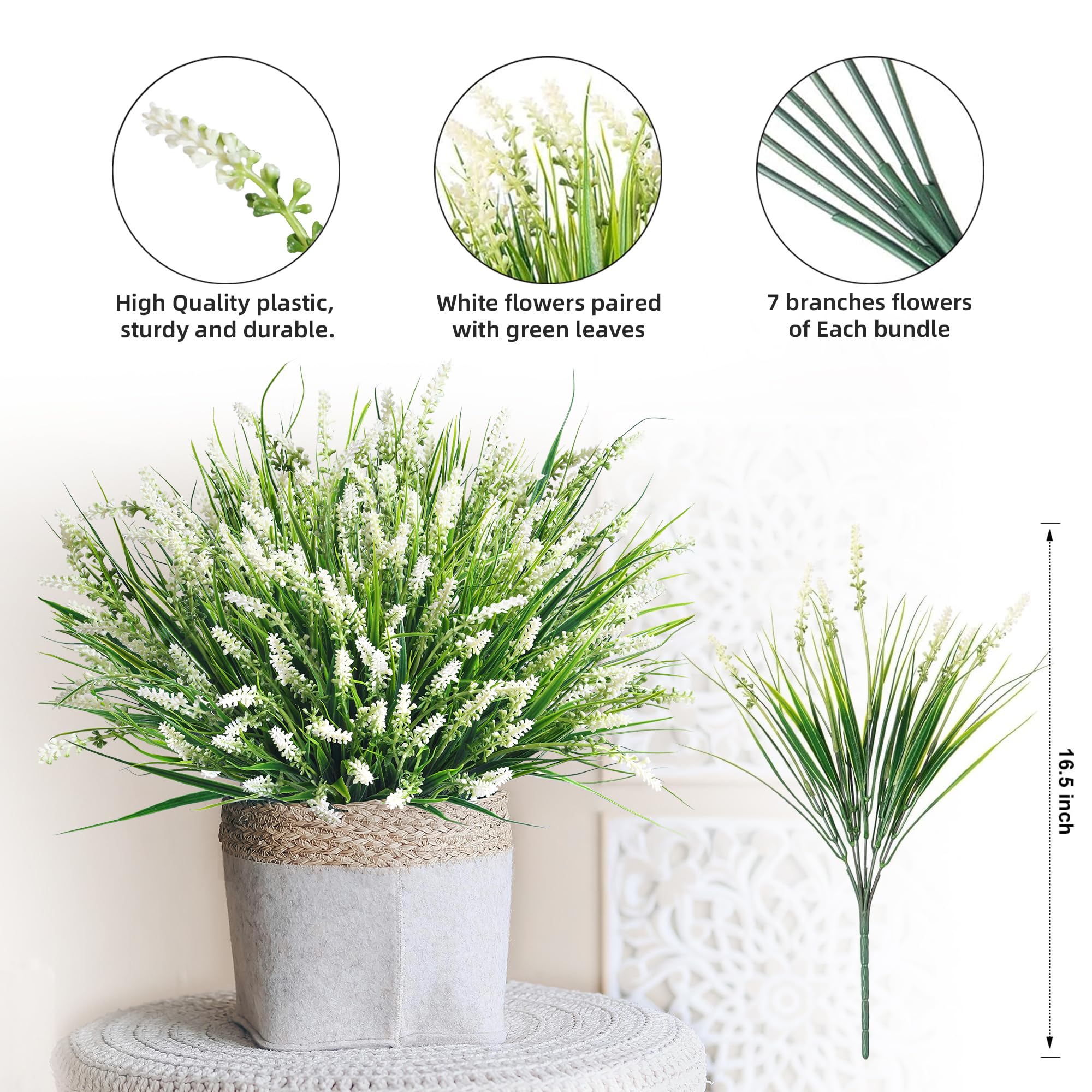 Ivydale Monkey Grass close-up highlights dark-to-light leaf shading.