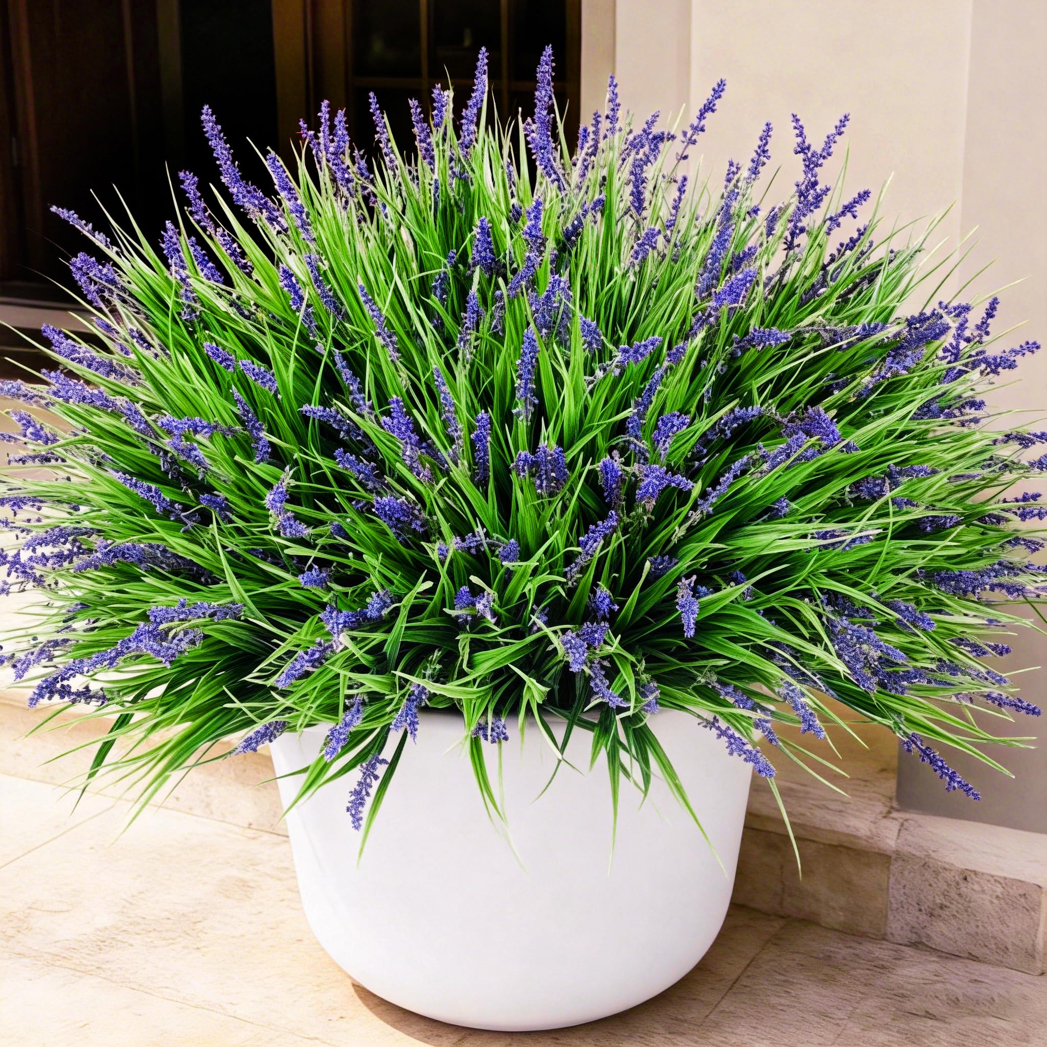 Ivydale 20pcs purple monkey grass for outdoor displays with year-round color