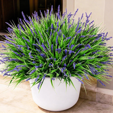 Ivydale 20pcs purple monkey grass for outdoor displays with year-round color