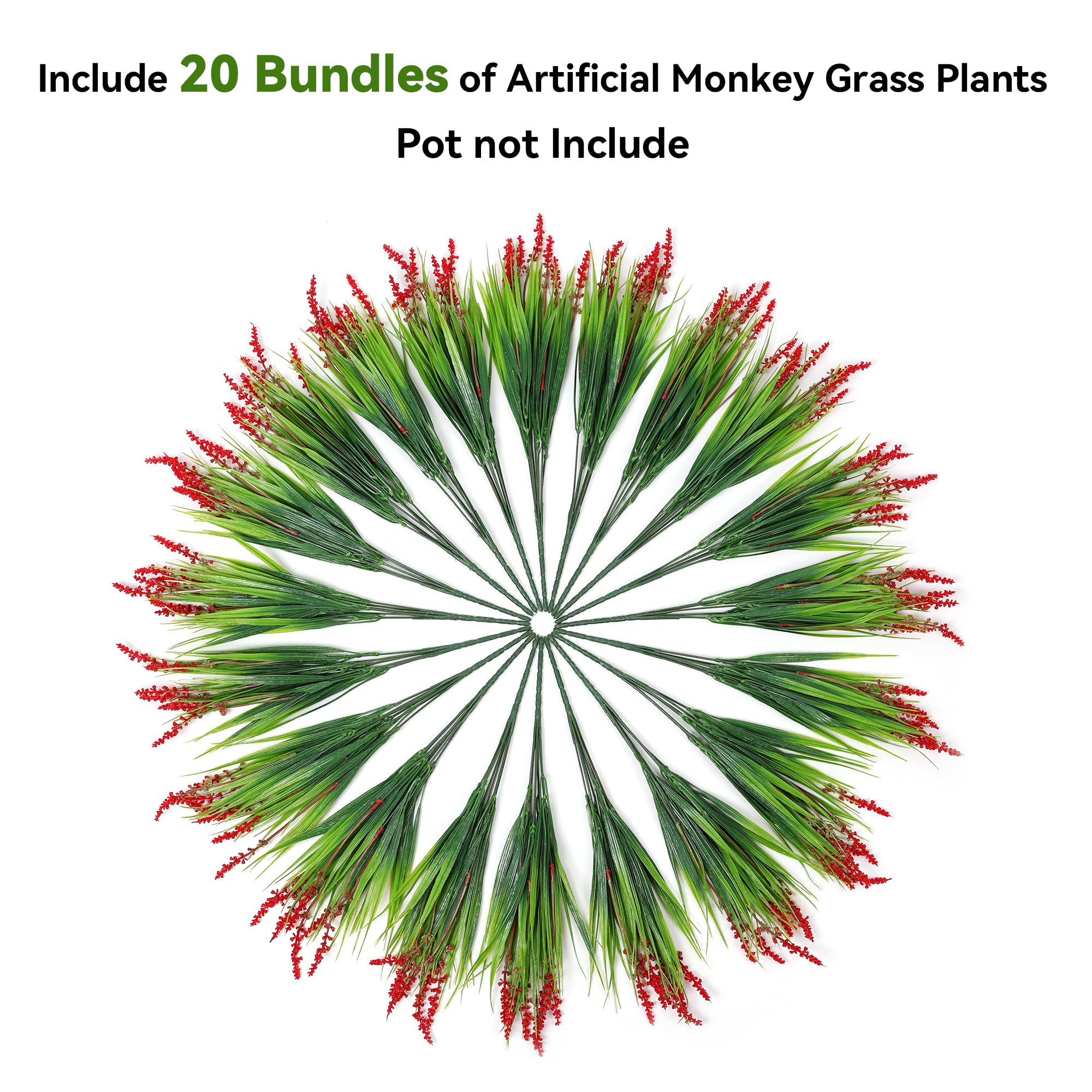Ivydale Monkey Grass patio- creates year-round color along patios and balconies.