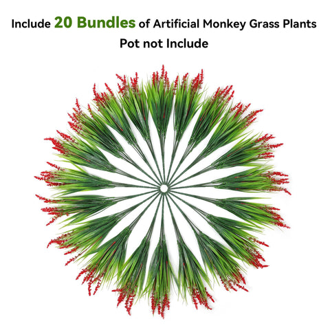 Ivydale Monkey Grass patio- creates year-round color along patios and balconies.