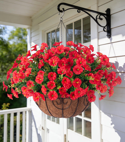 Ivydale morning glory bouquet bundles in a hanging basket for year-round outdoor color.