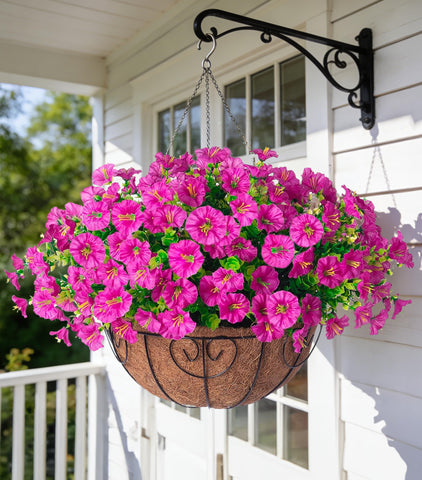 Ivydale morning glory fuchsia hanging flowers in a basket add year-round color.