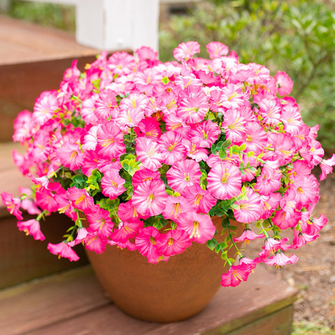 Ivydale pink silk morning glory closeup with eucalyptus for natural curb appeal