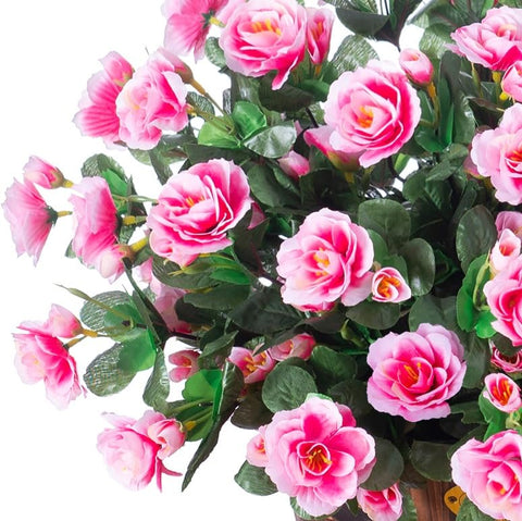 Ivydale outdoor camellia bundles suit planters and window boxes.