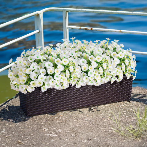 Ivydale realistic morning glory and eucalyptus arrangement in garden