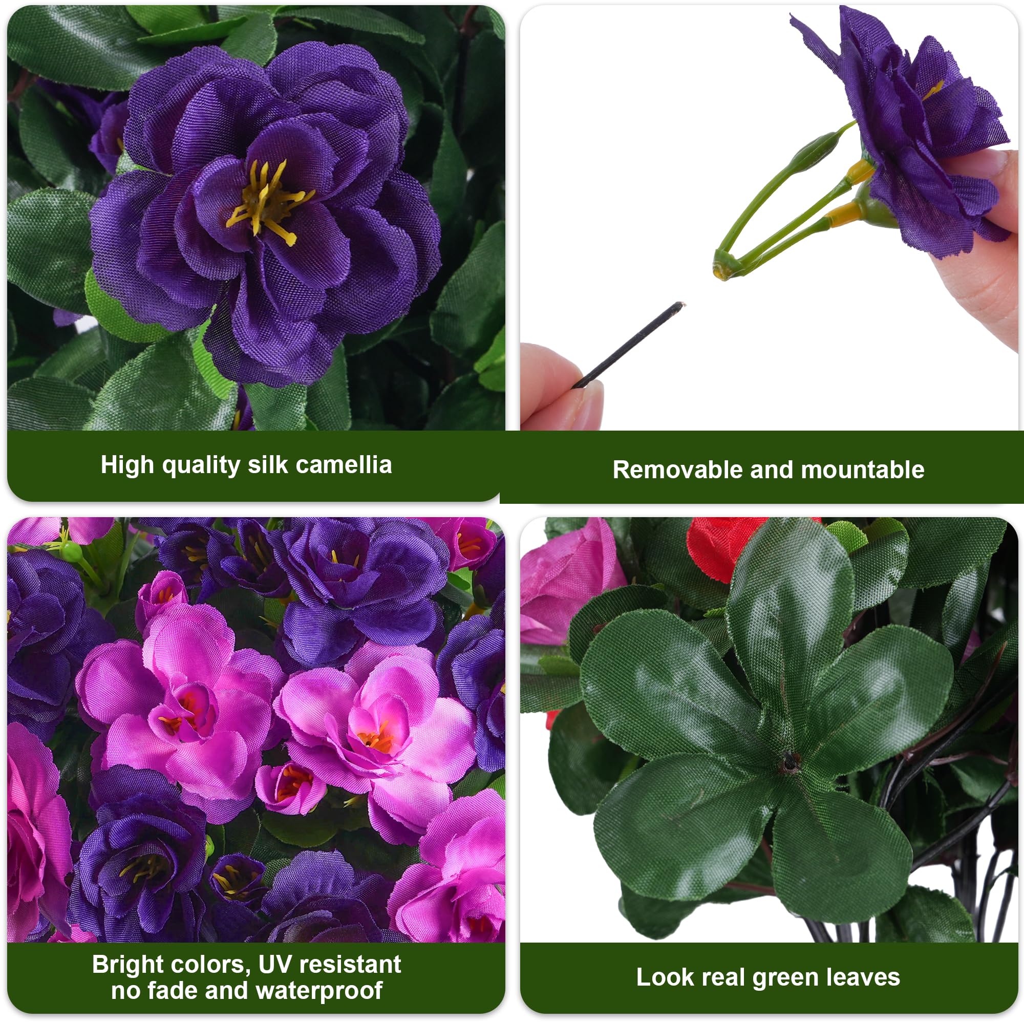 Ivydale outdoor plants require no watering or pruning, perfect for busy spaces.