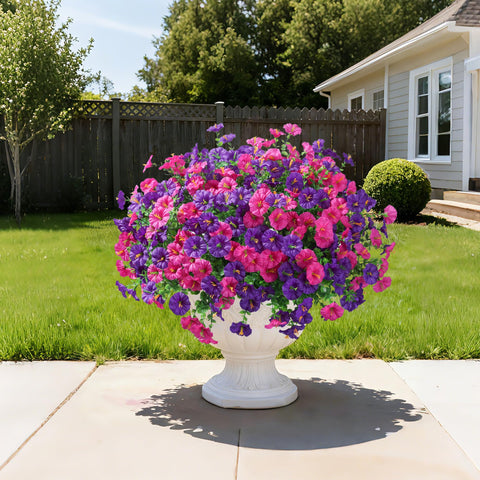 Ivydale UV-resistant petunias brighten porches and patios without watering.