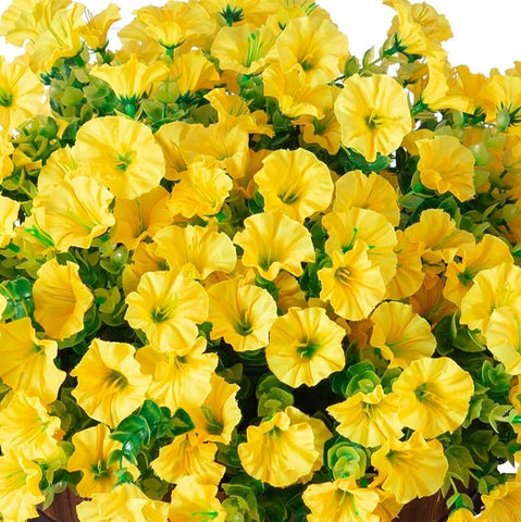 Ivydale weatherproof fake plants designed for all-weather use