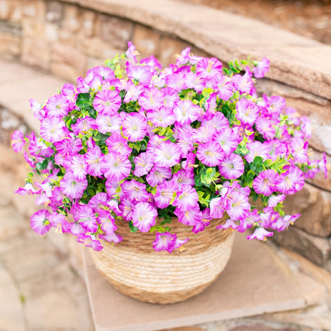 Ivydale window box fillers bring seasonal charm with realistic styling.