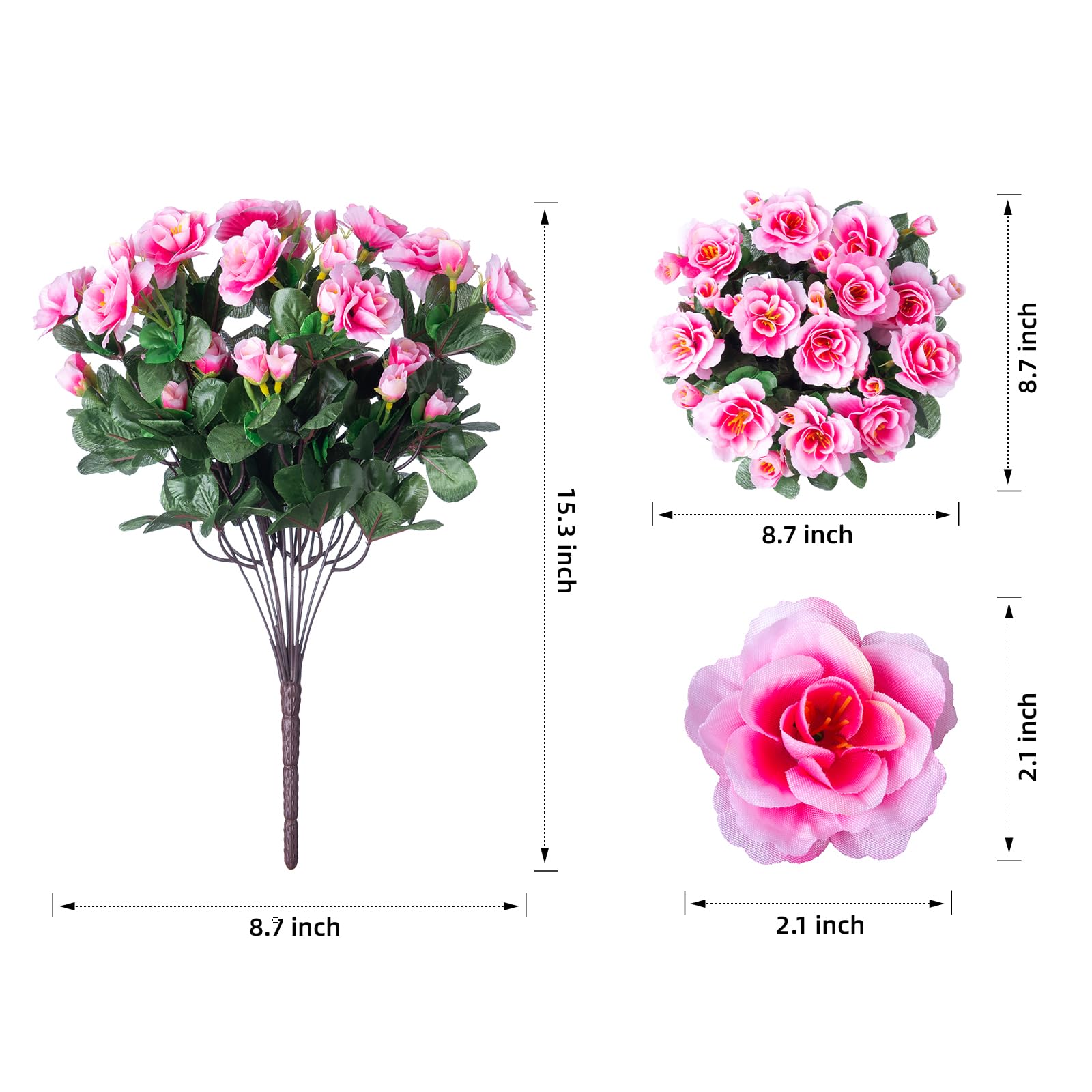 Ivydale yard camellia arrangement delivers year-round color without watering.