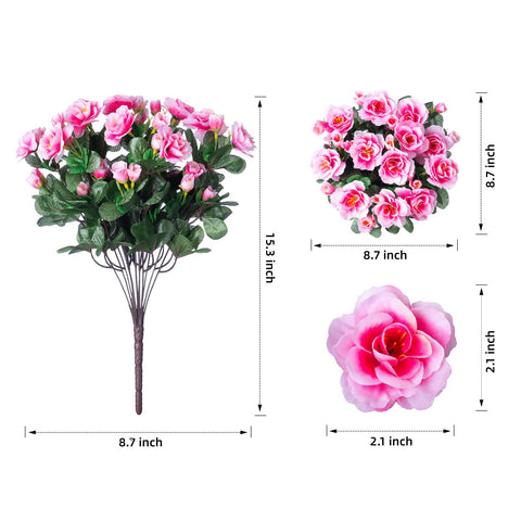 Ivydale yard camellia arrangement delivers year-round color without watering.